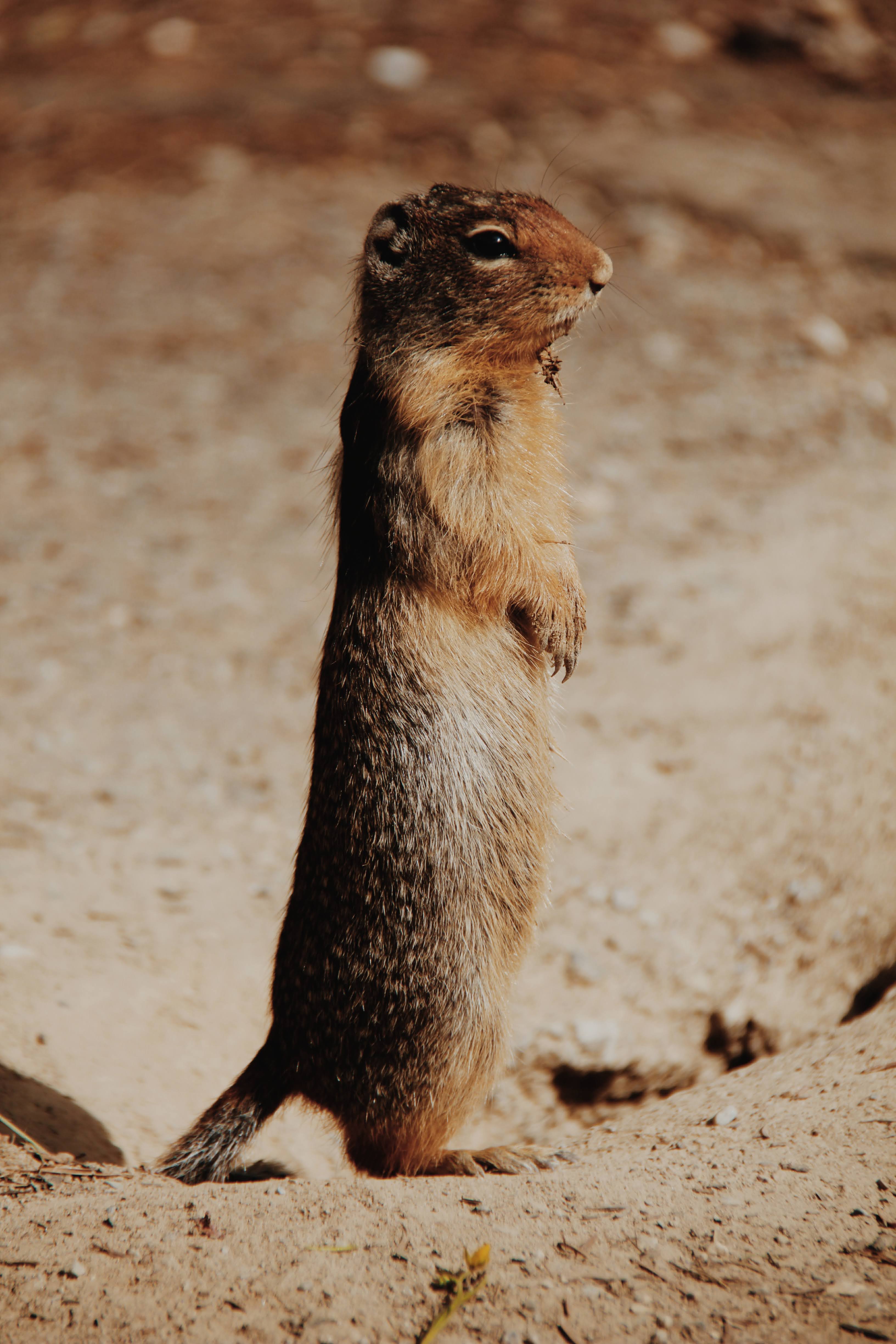 Canada and New York 2011 21